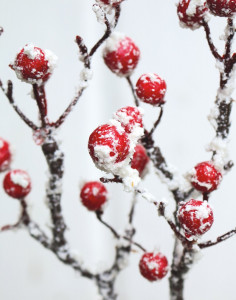 1094 407 a3 Ветка искусственной ягоды со снегом, 33 см, красно-белая H-andreas