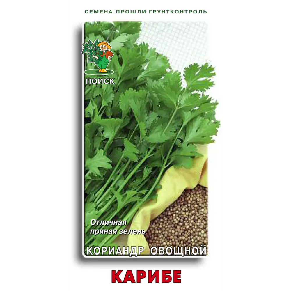 Кориандр Карибе от ПОИСК - ароматная зелень для кулинарии 83227417 STLM-0039565