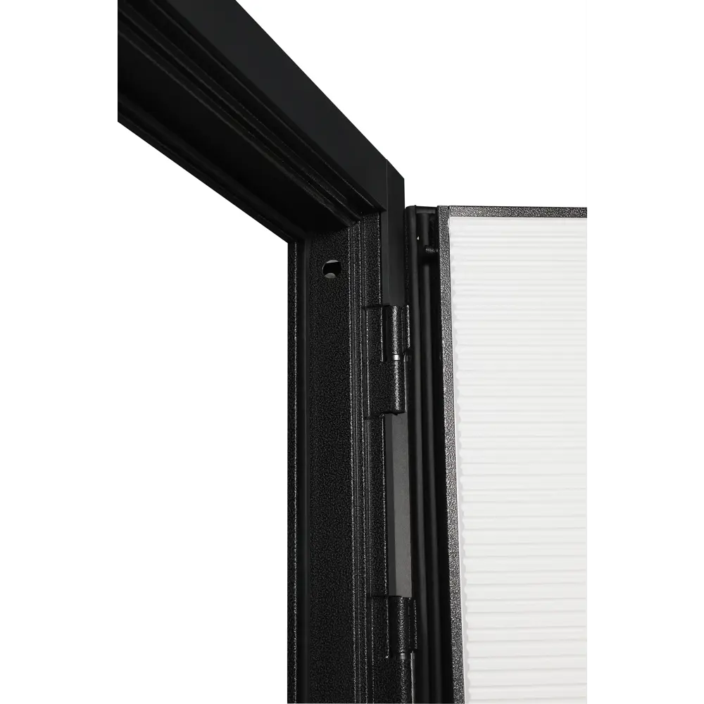 Входная дверь Форпост 100 с зеркалом - защита и функциональность 89415306 STLM-1579163 - Вид №6