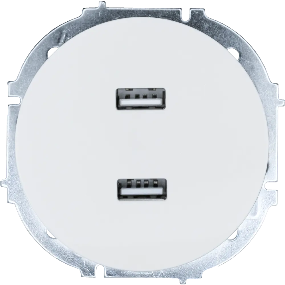 Розетка двойная USB встраиваемая Osen цвет белый LEZARD STLM-2212109 - Вид №2