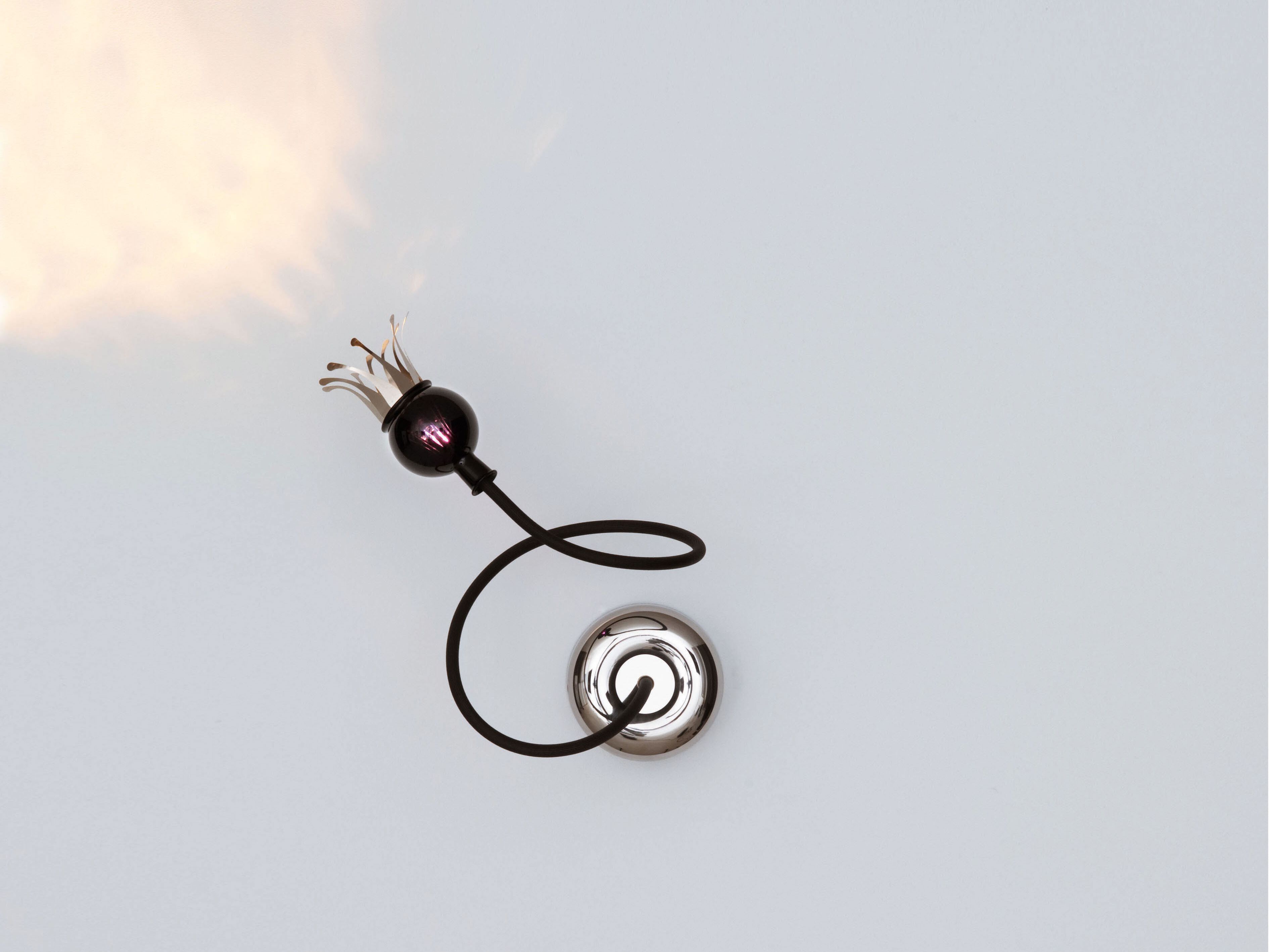 Алюминиевый и стеклянный настенный светильник с гибкой рукояткой serien.lighting POPPY ARCH-00006700 - Вид №14