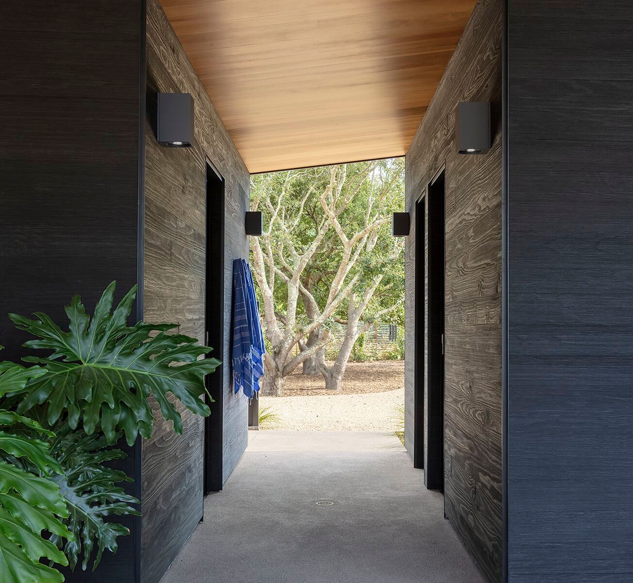 Покрытие / настил из Accoya® Sapiens ARDES ARCH-00117654 - Вид №1