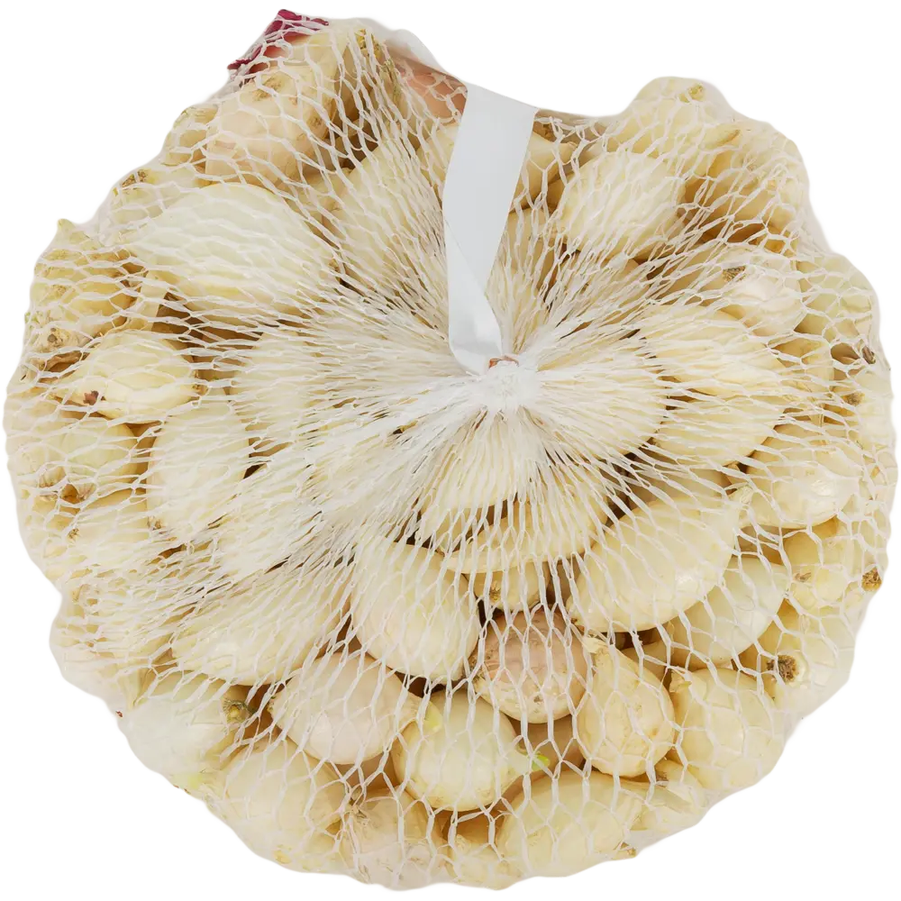 Лук-севок «Стардаст» 21/24, 0.9 кг ПРЕСТИЖ СЕМЕНА STLM-2011543