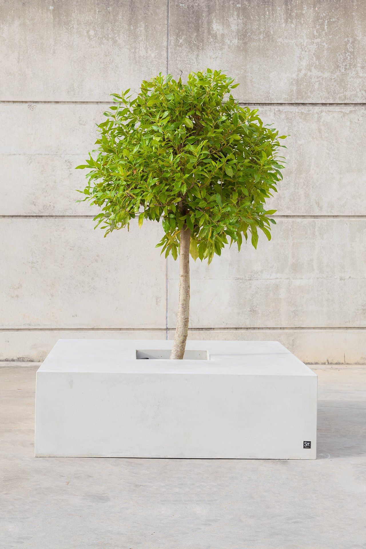 Скамейка из армированного волокном бетона со встроенной сеялкой SIT SQUARE ARCH-00145633 - Вид №1