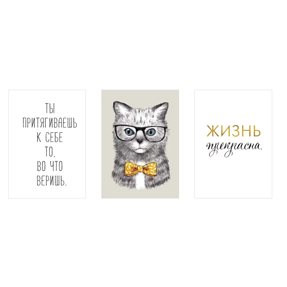 Постер Арт дизайн Коту Очевидно 39x49 см 3 шт. 84505657 STLM-2156263 