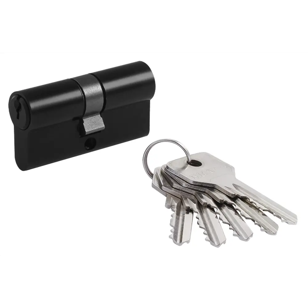 Цилиндр STD Z Л-60 30x30 мм ключ/ключ цвет черный без вертушки Santreyd STLM-2090797