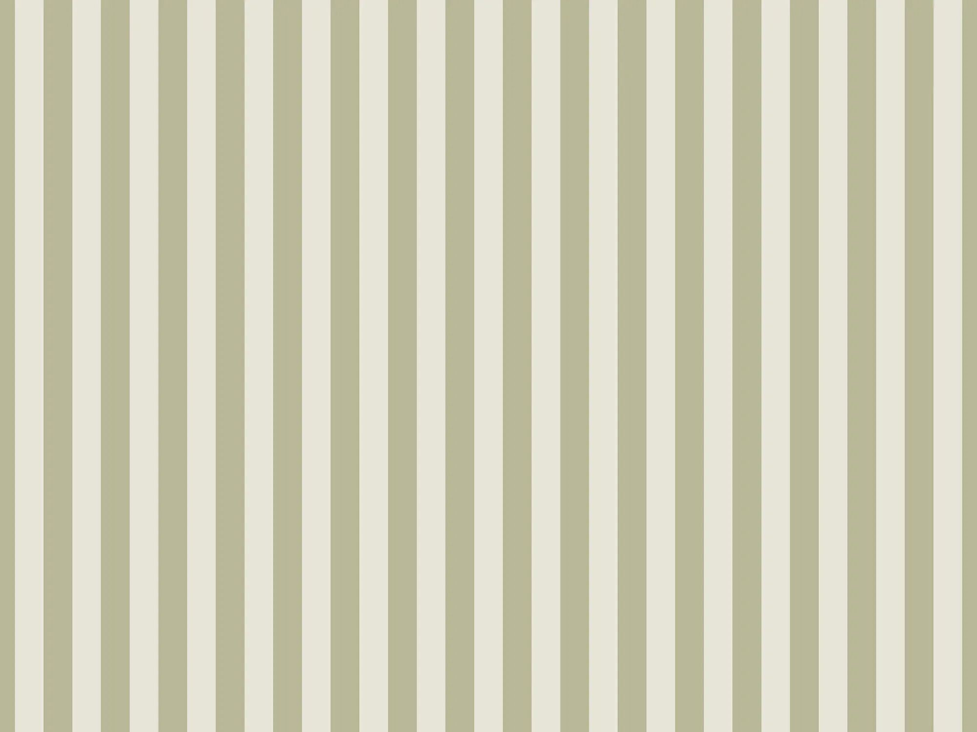 Обои с рисунком Ressource La Rayure ARCH-00075725 - Вид №1