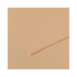 200321074 Бумага для пастели Mi-Teintes 160 г/м2 50 х 65 см лист №350 золотисто-розовый Canson