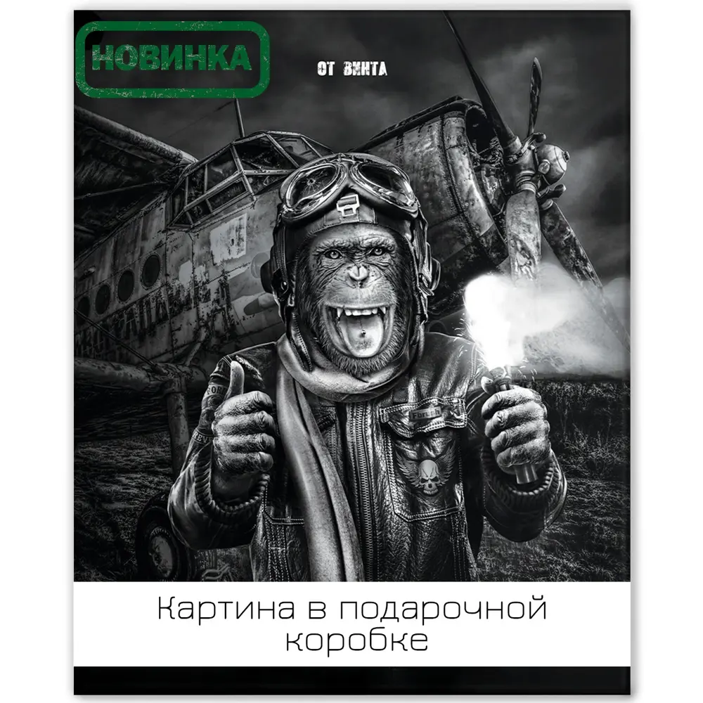 Картина на холсте Смелый пилот 40x50 см FBRUSH STLM-2185487