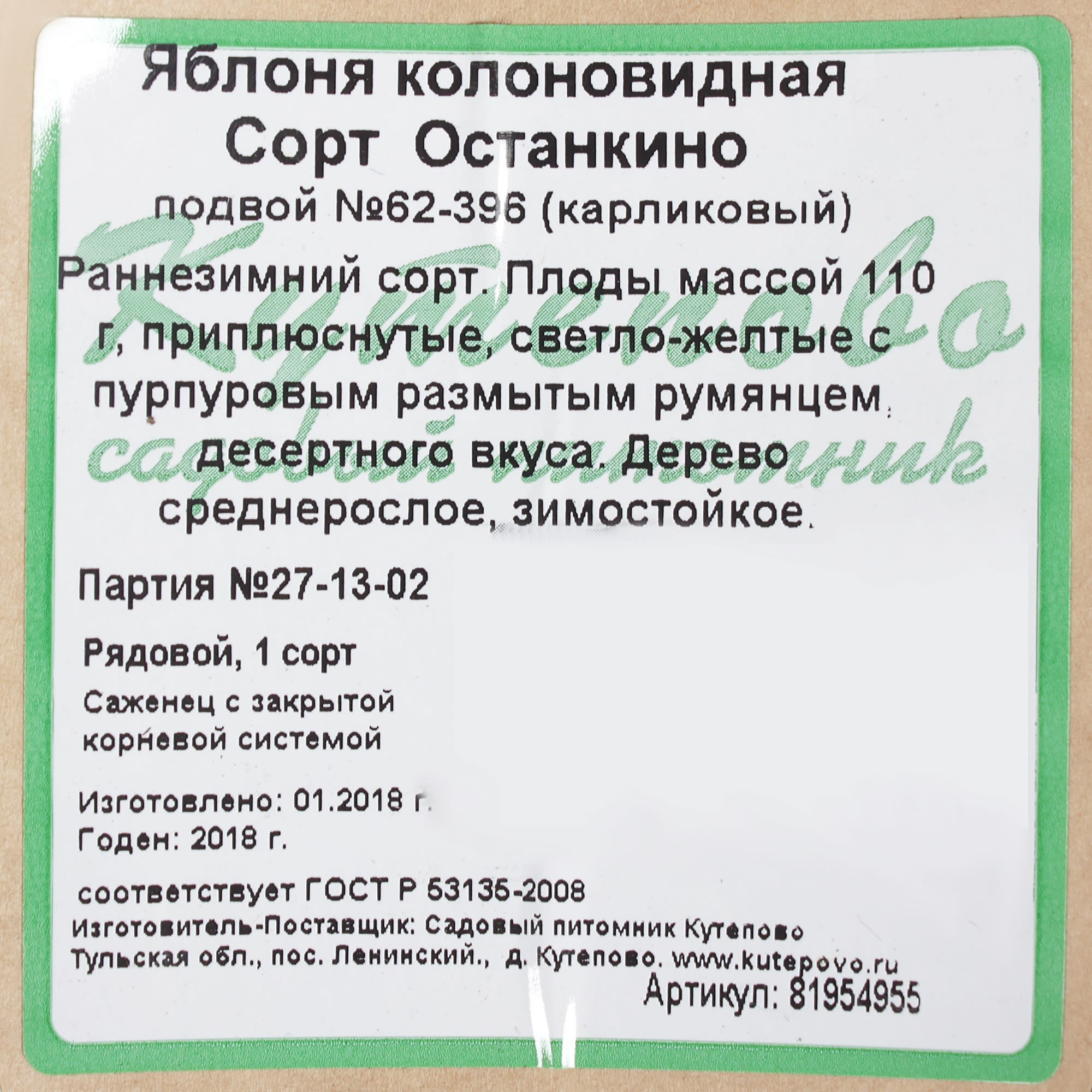 81954955 Яблоня колонновидная С4 «Останкино» h100 Santreyd  - Вид №1