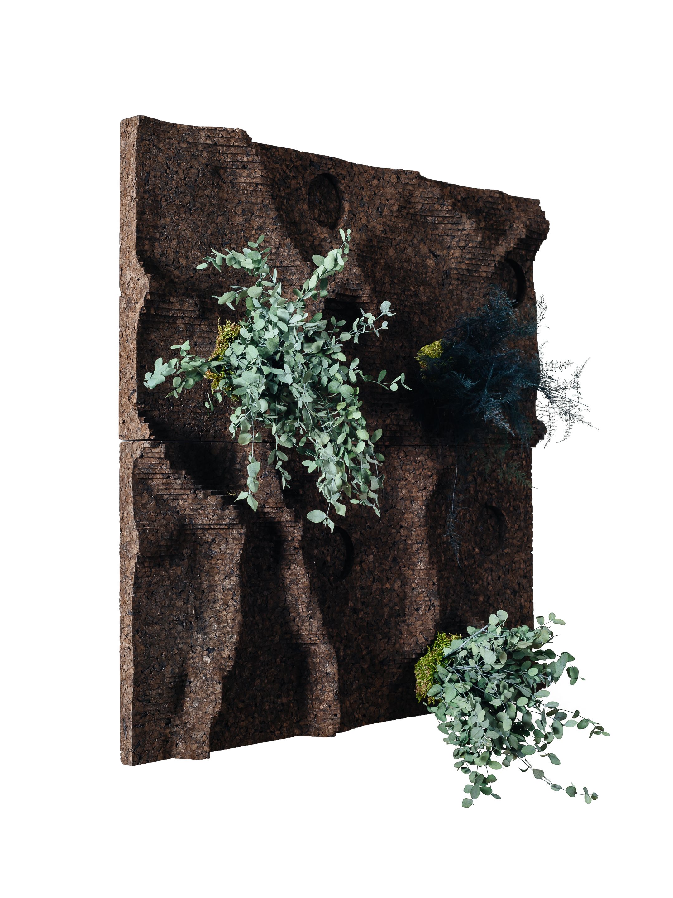 Пробковое покрытие GENCORK CORKNATURE ARCH-00044633 - Вид №1