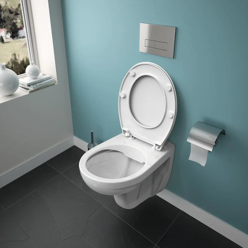 Унитаз подвесной Is Asolo R011301 безободковый Ideal Standard STLM-2055422 - Вид №9