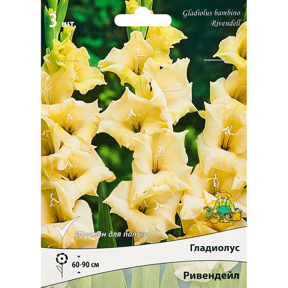 Гладиолус бамбино Ривендейл, 3 шт ПОИСК STLM-2034580