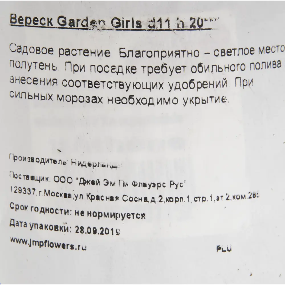 Вереск Гарден Гёрлз 11x20 см 82379372 STLM-2196675 Santreyd  - Вид №1