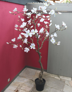 5850 778 a3 Искусственное цветущее дерево магнолии, горшечное, 210 см, бежево-белое H-andreas
