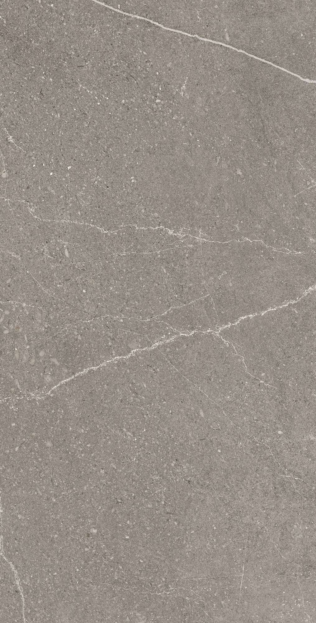 Керамогранит EQUISTONE GRAPHITE 60х120 Arcadia Ceramica RG6002-A - Вид №3