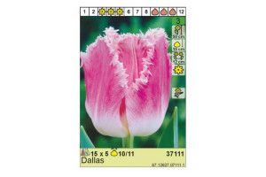 18441817 Луковица Тюльпан Даллас 10/11 розовый, 5 шт. 37111 HBM