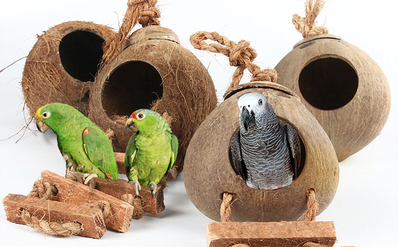 Как сделать гнездо для волнистых попугаев и что класть туда?
