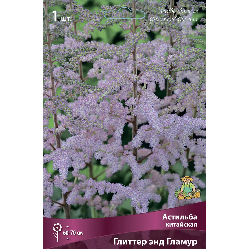 Астильба китайская Глиттер Энд Гламур 85205491 STLM-2121437 ПОИСК 