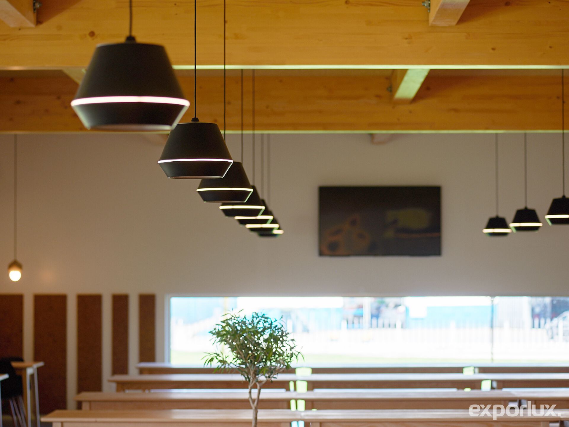 Термокрытый алюминиевый светодиодный подвесной светильник Exporlux KASA TE SU ARCH-00119075 - Вид №2