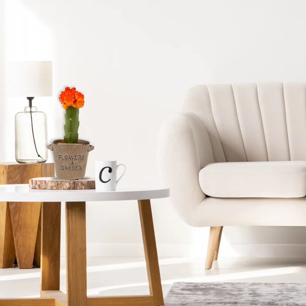 Кашпо-кактусник 9.5x9x12 см v0.42 л керамика коричневый GARDMAX STLM-2010609 - Вид №6