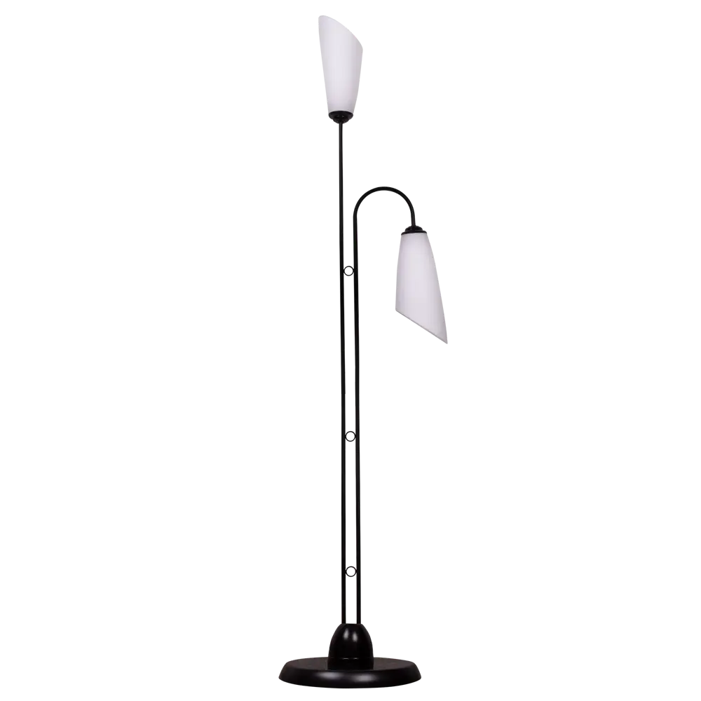 Торшер 21 Век-свет 1044ML/2 цвет черный STLM-2132859