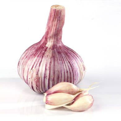 Чеснок молодой Узбекистан Santreyd 1883