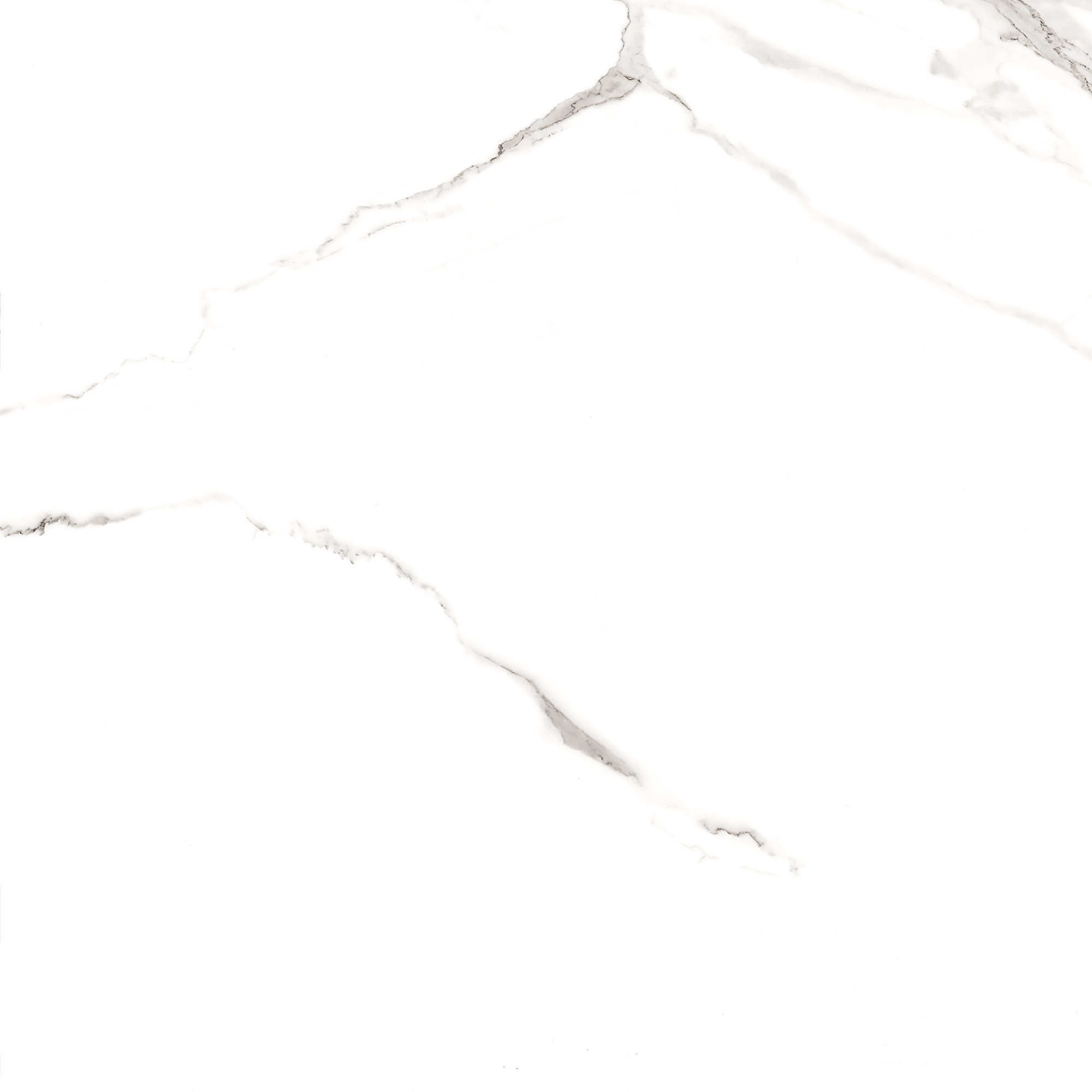 Керамогранит STATUARIO MIRES 60х60 Arcadia Ceramica FP1012-A STLM-1571933 89405719  - Вид №11