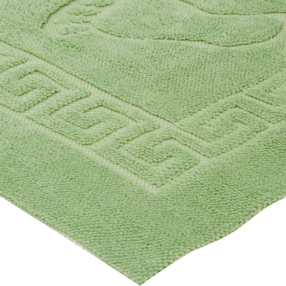 Коврик для ванной комнаты Foot 50x70 см цвет светло-зелёный PRIMANOVA STLM-2052011 - Вид №1
