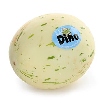 Дыня медовая молочная Santreyd 31119 - Вид №1