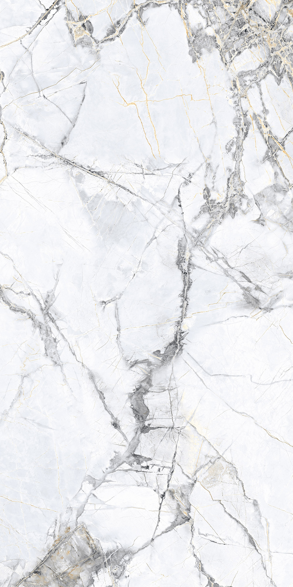 Керамогранит MALTA BIANCO 60х120 Arcadia Ceramica CR4018-A - Вид №4