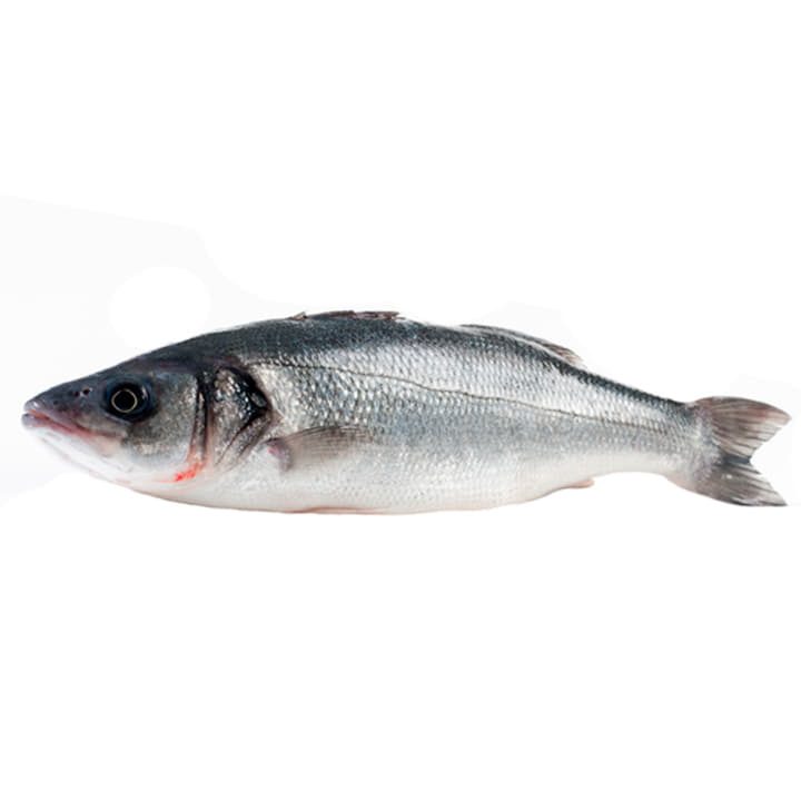 Дикий сибас охлажденный 2 - 3 кг Santreyd 11767 - Вид №1