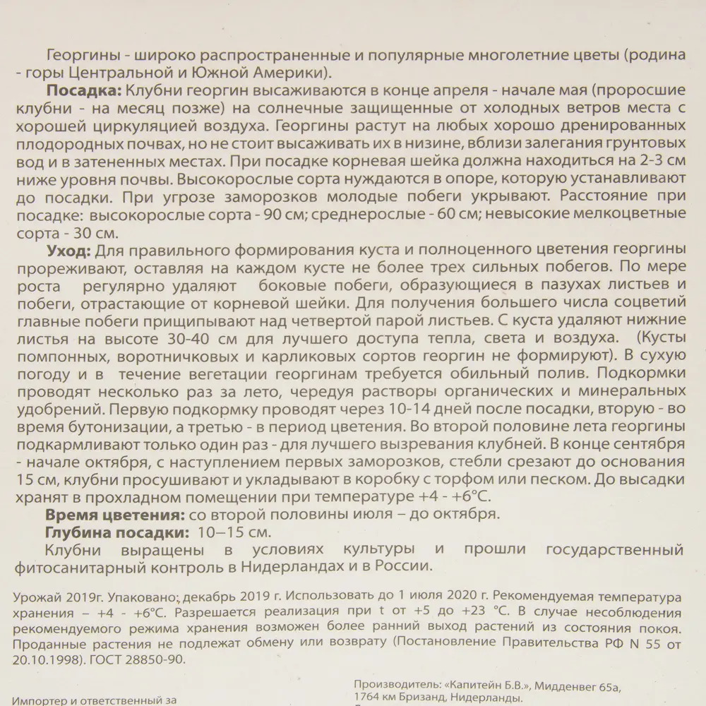 Георгина «Грейт сайленс» BLOOMING LIFE STLM-2003545 - Вид №2