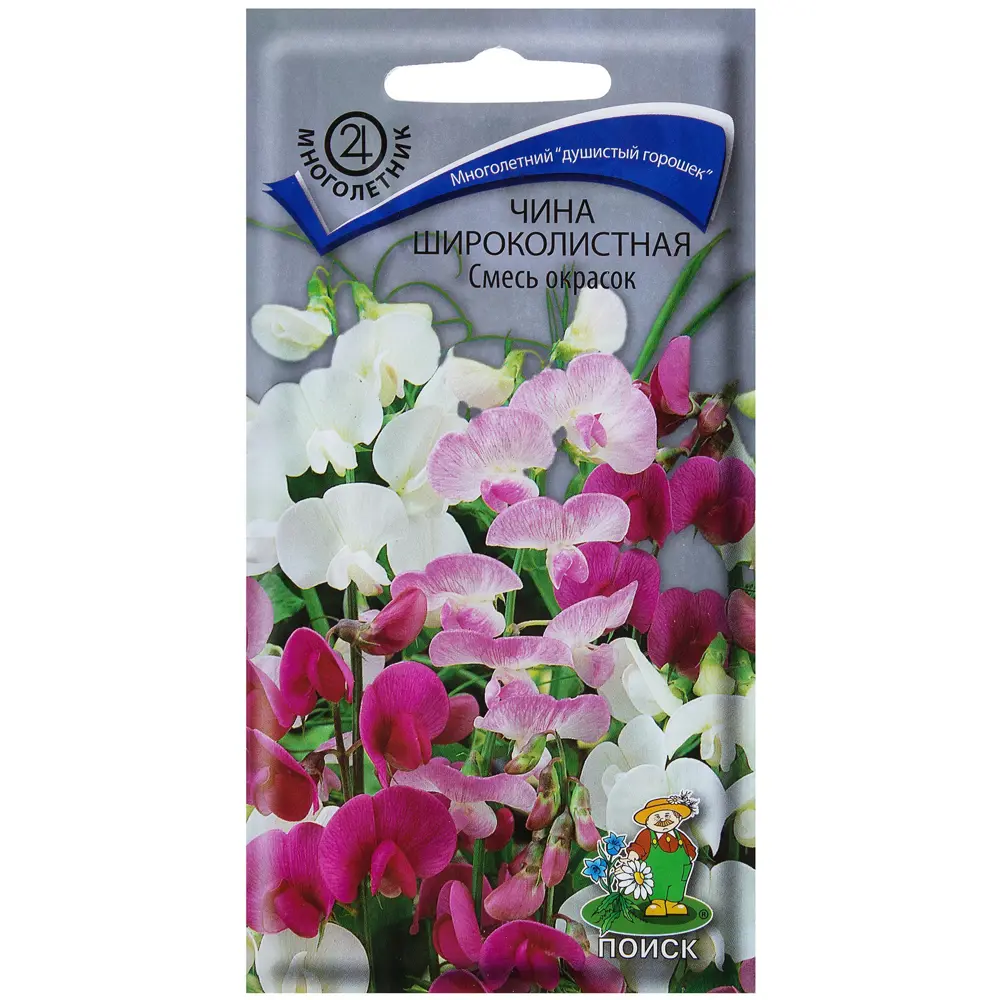 Чина широколистная смесь красок 17229371 STLM-2076648 ПОИСК 