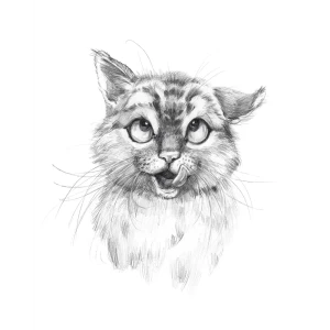 Постер МЯУчты 39x49 см