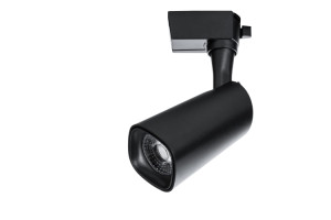 16268828 Потолочный светильник A4562PL-1BK ARTE LAMP BARUT