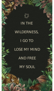 90580084 Рекламный плакат Просто Постер Джунгли "В дикой местности я иду чтобы сойти с ума и освободить свою душу" 40x50см в раме STLM-0293507 Santreyd