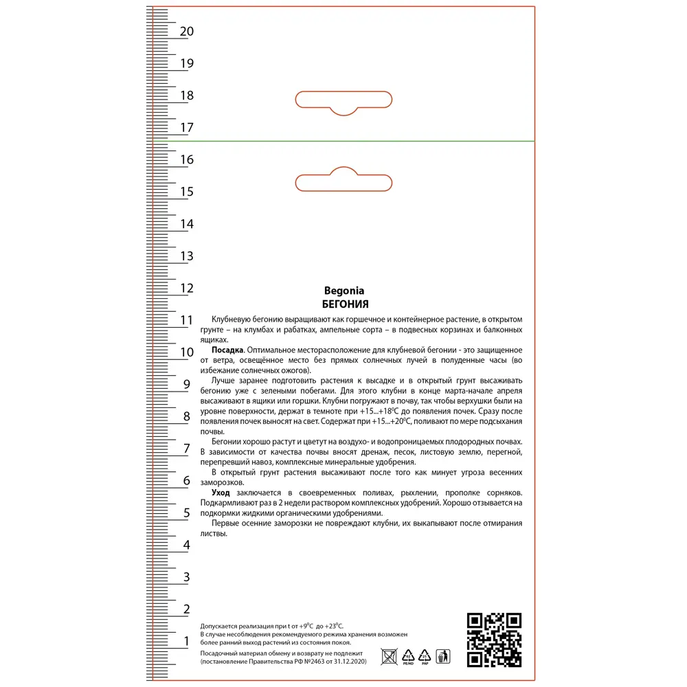 Бегония каскадная Одороса Вайт Блаш, 2 шт ПОИСК STLM-2132030 - Вид №1