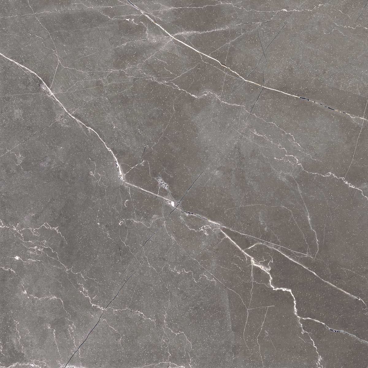 Керамогранит PULPIS NERO 60х60 Arcadia Ceramica FP1014-A STLM-2172557 84855266 - Вид №10