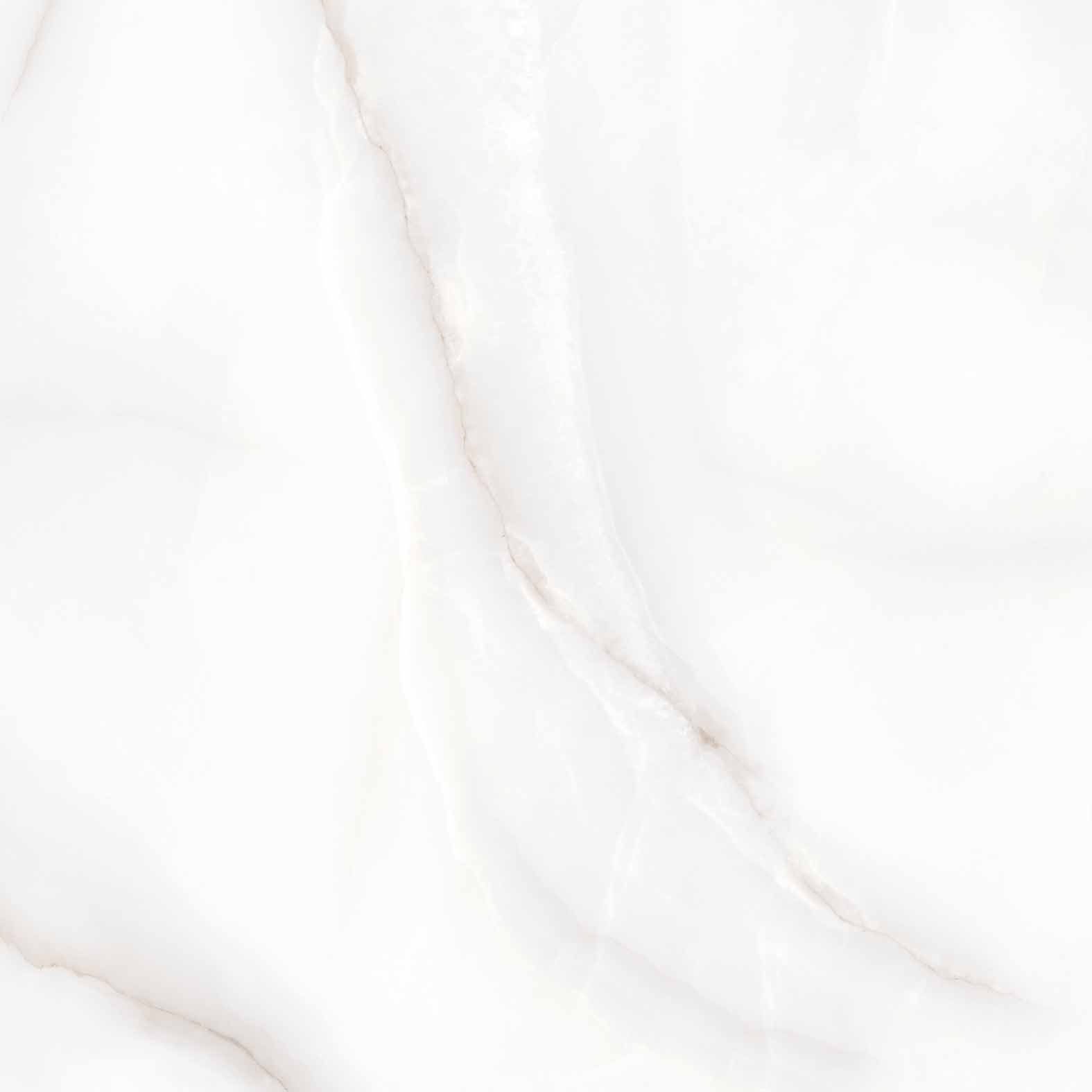 Керамогранит FEATHER ONYX 60х60 Arcadia Ceramica RT6004-A  - Вид №2