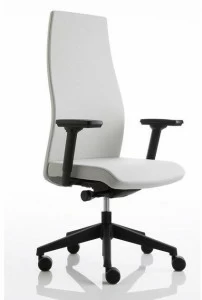 Luxy Регулируемое по высоте кресло руководителя из ткани с подлокотниками Smartoffice