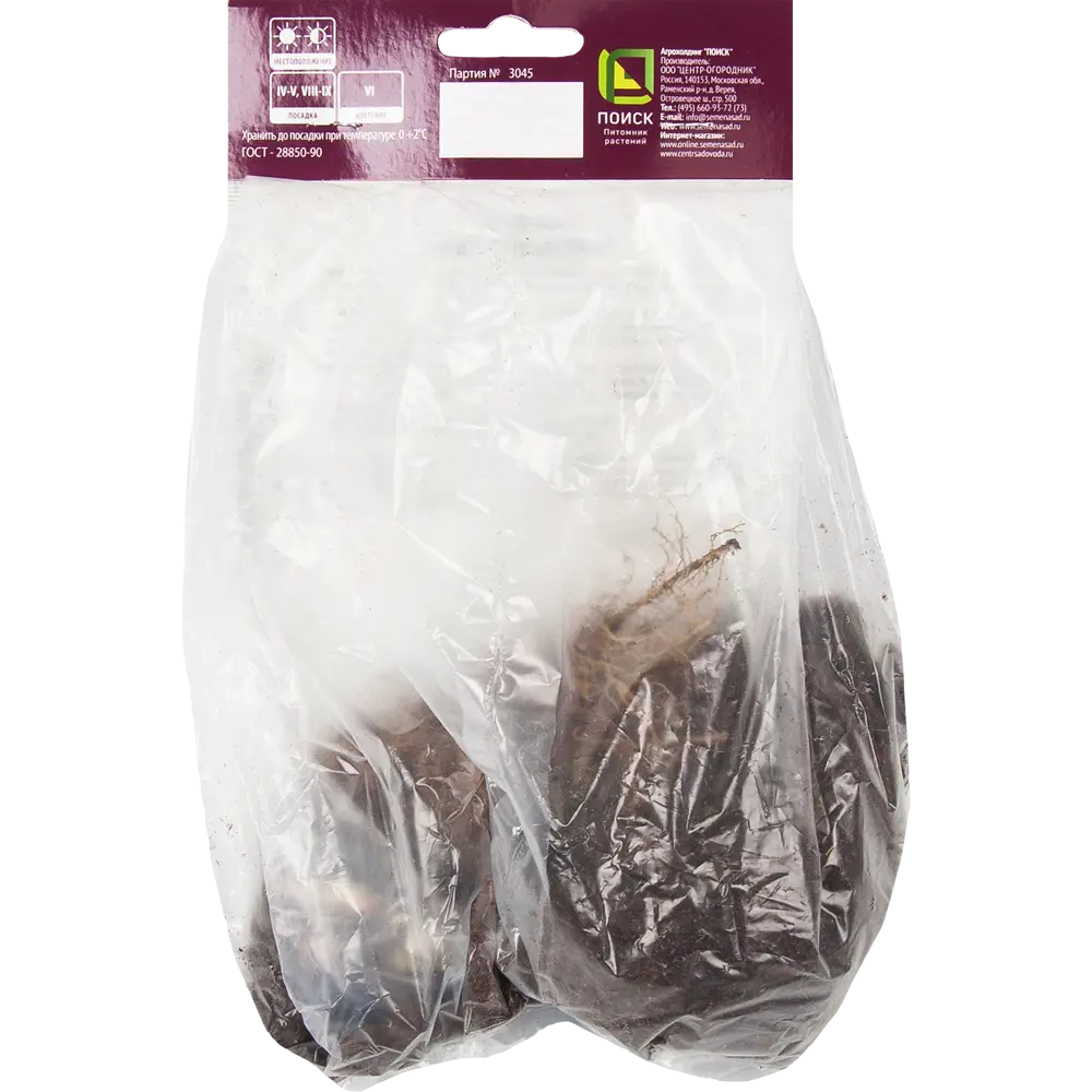 Ирис сибирский «Йеллоу Тейл», размер луковицы I Santreyd STLM-2090523 - Вид №1