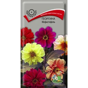 Семена цветов Поиск георгина Мефистофель 86217930 STLM-2066608