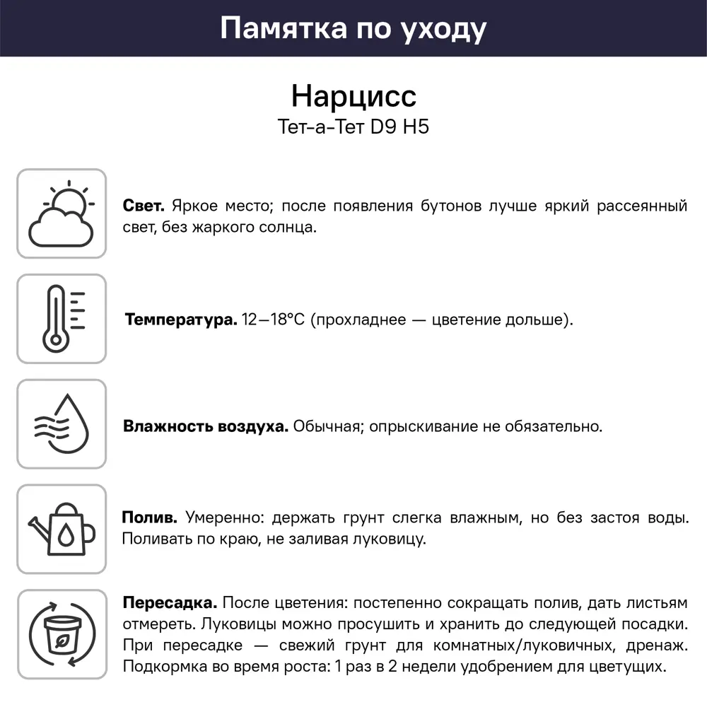 Нарцисс Тет-а-Тет ø9 h50 см 89453322 STLM-2171276 Santreyd  - Вид №3
