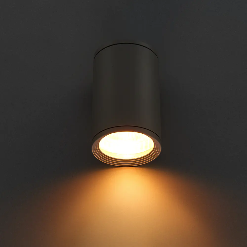 Светильник накладной Light 2101 IP65 1ХGU10Х10W, цвет сер Elektrostandard STLM-2155505 - Вид №2