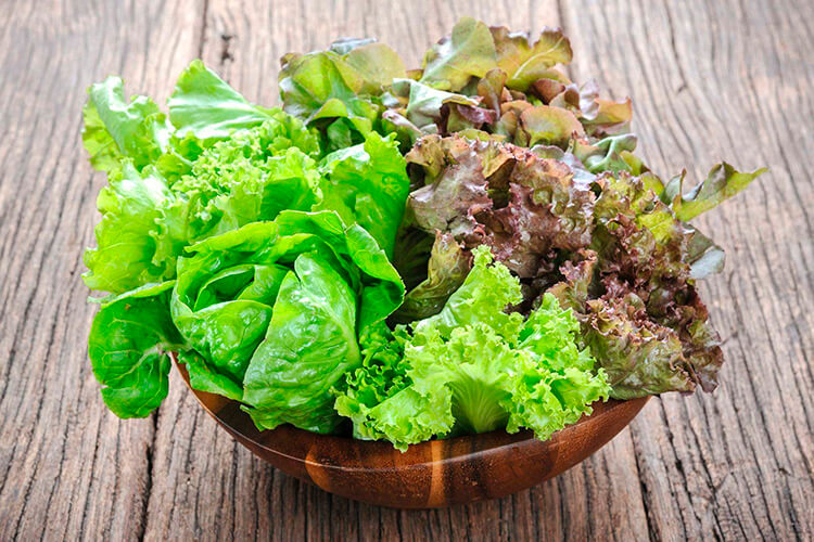 Как сохранить листовой салат на зиму: рекомендации и рецепты