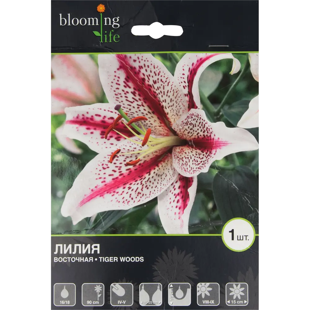 Лилия восточная «Тайгер Вудс» BLOOMING LIFE STLM-2149594