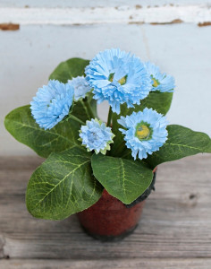 3029 110 a2 Искусственный цветок Bellis, в горшке, 6-цветков, 15 см, голубой H-andreas