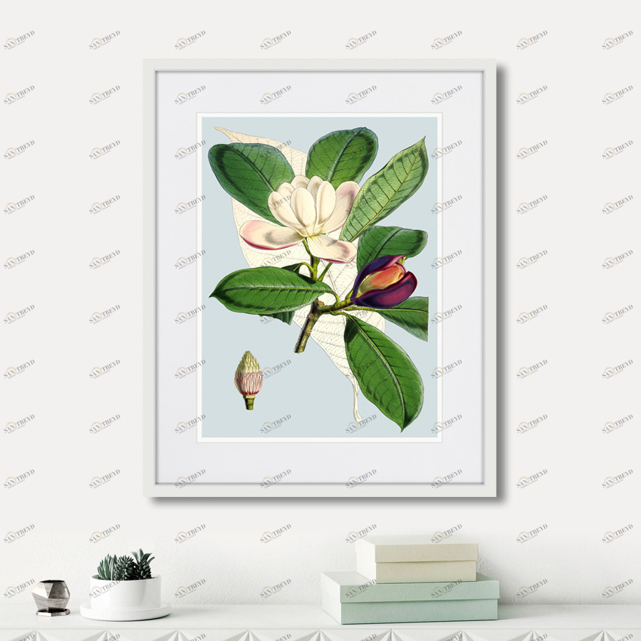 Литография на тонированной бумаге 42х52 см Himalaya Plants Purple And White Flowers, 1869г. КАРТИНЫ В КВАРТИРУ  264424 Белый;коричневый;разноцветный 