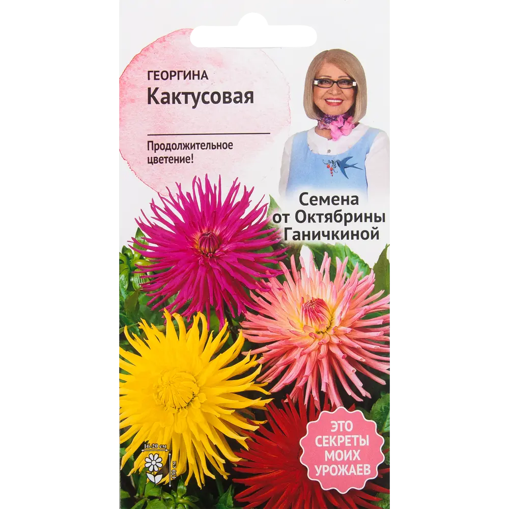 Георгина «Кактусовая» 0.2 г СЕМЕНА ОТ ОКТЯБРИНЫ ГАНИЧКИНОЙ STLM-2177762
